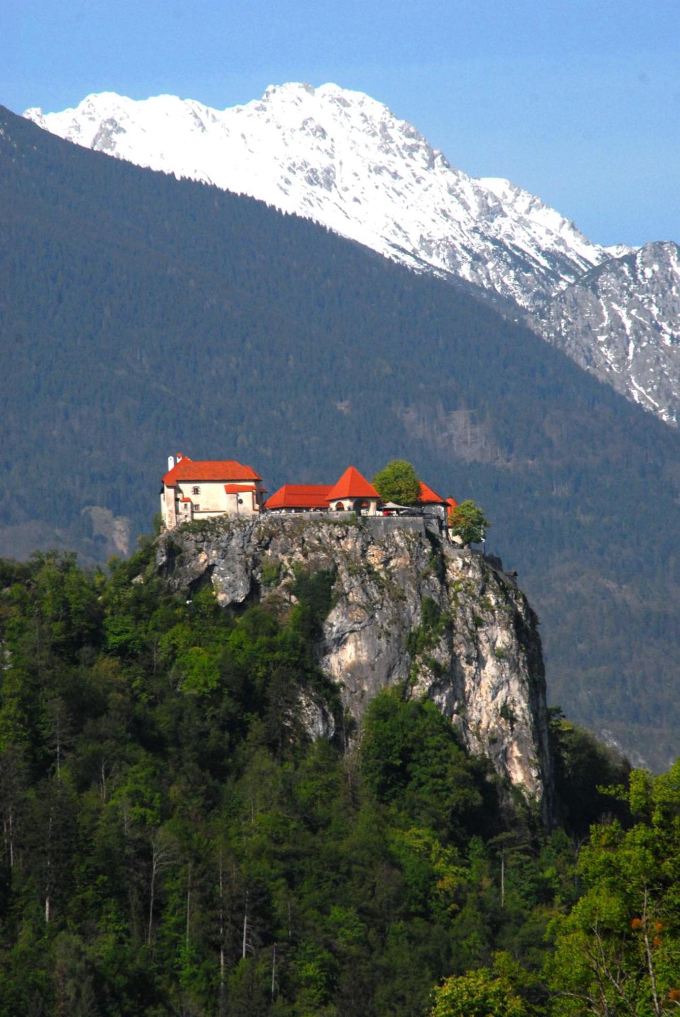 Fantastic Apartment Brglez Bohinjska Bela Εξωτερικό φωτογραφία
